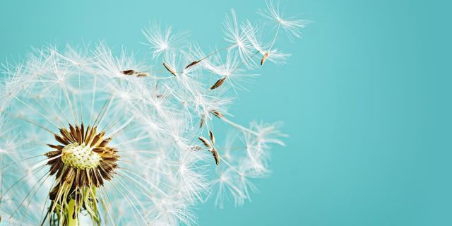 Body:Mind:Breath - Wassertropfen